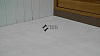 BQ8926 CALACATTA CALDIA (H)